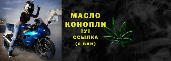 гидра Медногорск